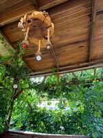 Rustic wooden terrace with vine-covered roof and handmade chandelier. Craftsmanship and handmade photo