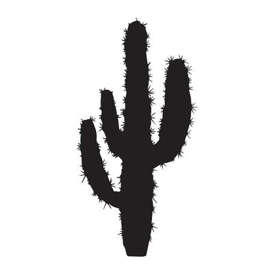 A cactus is shown in black and white on a white background