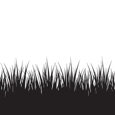 Black and White Grass Illustration