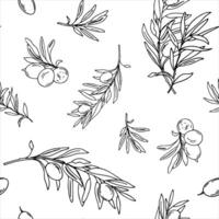 Graphic seamless pattern with branches of olives on a white background. Hand drawn Black and white illustration. Can be used for textile, wallpaper prints and packaging. vector