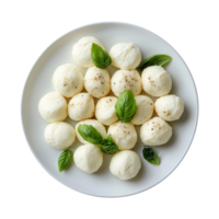a bowl of mozzarella cheese with tomatoes and basil isolated on a transparent background png