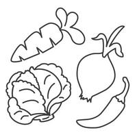 Vegetable set. Thin line illustrations of vegetables. Vegetables. vector