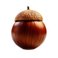 acorn isolated on transparent background png