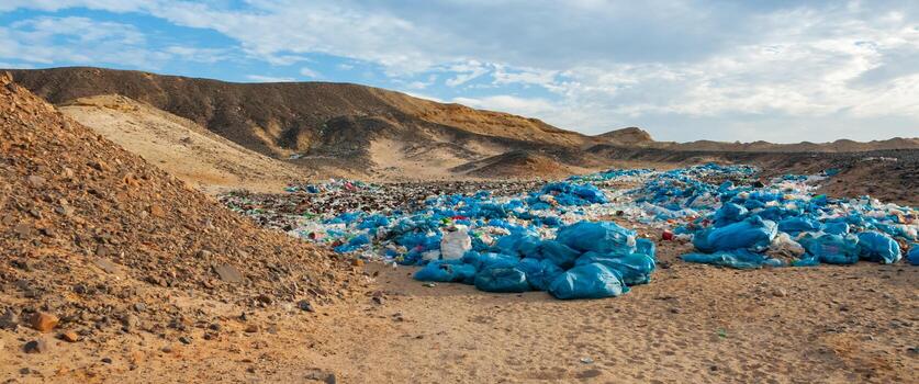 Plastic bottles and various garbage from hotels in the wild, Garbage dump in the desert in Egypt photo
