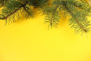 New Year Christmas Background Spruce Branch on Black Red Yellow Background with Space for Copyspace Text photo