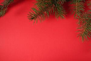 New Year Christmas Background Spruce Branch on Black Red Yellow Background with Space for Copyspace Text photo