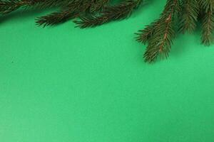 New Year Christmas Background Spruce Branch on Black Red Yellow Background with Space for Copyspace Text photo