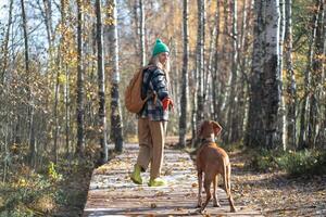 Cheerful woman peacefully walking, strolling in sunny autumn forest with playful hunting dog. photo
