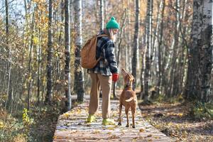 Backpacking woman strolls with dog on eco trail in autumn birch forest. Pet sitter, adoption, trust photo