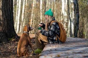Female owner talks to dog sitting expectantly for treat on autumn forest walk. City escape with pet photo