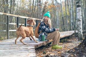 Playful hunting dog attracting female owner attention on fall park walk. Training game, pet behavior photo
