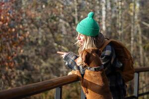 Interested woman dog owner finger showing bird to attentive pet vizsla walking in fall forest park. photo