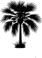 palm tree silhouette on white background vector