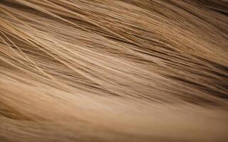 Wave hair with golden color, 3d rendering. photo