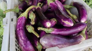 purple eggplants on the market photo