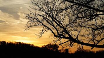 The beautiful sunset sky view with the colorful clouds as background photo