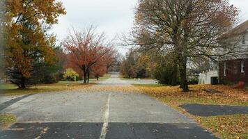 The usa countryside view surrounded by the colorful forest woods in autumn photo