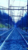 The railway view with the iron tracks and power lines along it photo