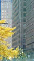 The beautiful Philadelphia city view in autumn photo