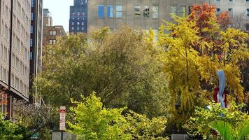 The beautiful Philadelphia city view in autumn photo