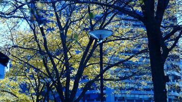 The beautiful Philadelphia city view in autumn photo