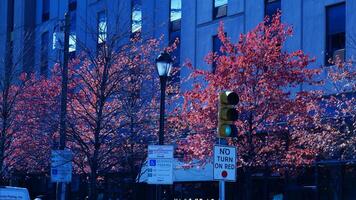The beautiful Philadelphia city view in autumn photo