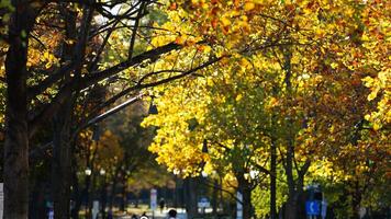 The beautiful campus autumn view in the University of Pennsylvania in Philadelphia photo