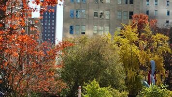 The beautiful Philadelphia city view in autumn photo