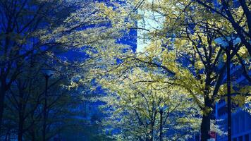 The beautiful Philadelphia city view in autumn photo