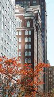 The beautiful Philadelphia city view in autumn photo