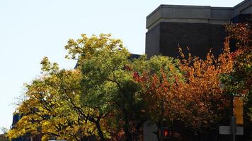The beautiful Philadelphia city view in autumn photo