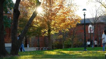 The beautiful campus autumn view in the University of Pennsylvania in Philadelphia photo