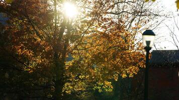 The beautiful campus autumn view in the University of Pennsylvania in Philadelphia photo