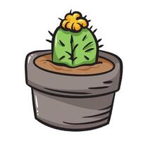 Yellow and green moon cactus succulent potted plant colorful illustration isolated on square white background. Simple flat outlined cartoon art styled drawing. vector