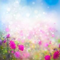 spring flowers and bokeh background photo