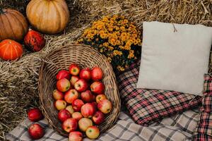 Cozy Autumn Vibes A Farm Life with Rabbits photo
