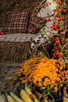 Cozy Autumn Vibes A Farm Life with Rabbits photo