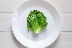 single green lettuce leaf on white plate, top view photo