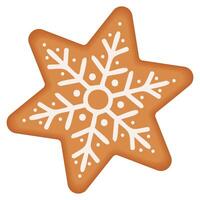 Christmas gingerbread star with snowflake pattern vector
