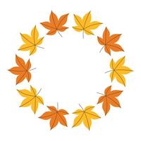 Maple Hand drawn Autumn yellow Leaf circle Frame background. Blank Fall season poster, postcard Empty round backdrop made of yellow Leaves. vector