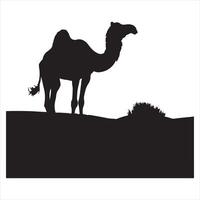 Camel silhouette on white background vector