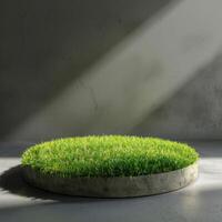 Circular Grass Patch on a Concrete Platform photo