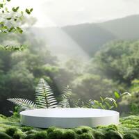 White Platform Surrounded by Ferns and Moss in a Lush Forest Setting photo