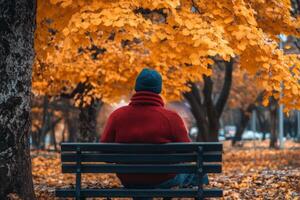 Man in Red Sweater Sitting on a Bench Under Autumn Trees photo