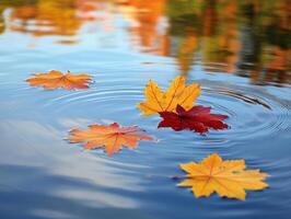 Fallen Autumn Leaves Floating on a Calm Blue Pond photo