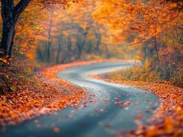 Winding Road Through Autumn Forest with Fallen Leaves photo