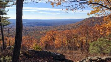 A Forest View of Autumn Foliage and a Distant Ridge photo