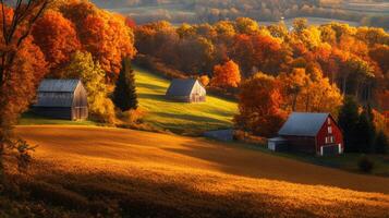 Autumnal Landscape with Three Barns in a Rolling Hill Setting photo
