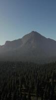 A view of a mountain range with trees in the foreground video