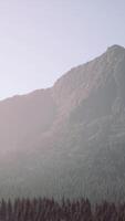 A view of a mountain with trees in the foreground video